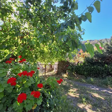 Geppy E Minu Gole Alcantara Holiday home Motta Camastra